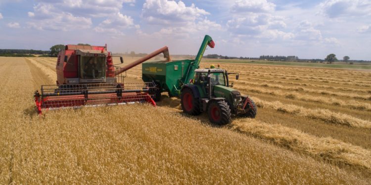 Novas formas de financiamento privado podem solucionar o déficit de armazenagem de grãos no país