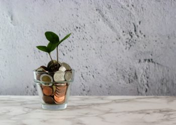 Barreiras estruturais restringem mercado de títulos verdes no Brasil