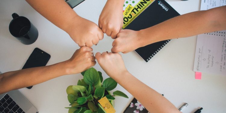 Eficácia de programas governamentais depende do consenso em relação a valores e objetivos das políticas, mostra pesquisa