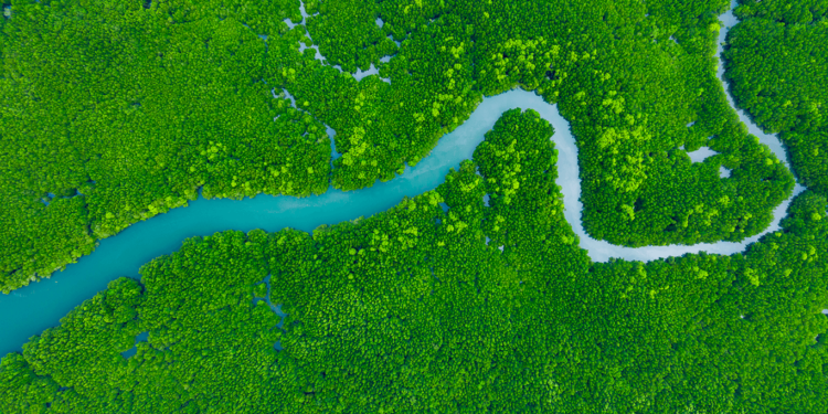 Adaptando-se ao novo contexto, FGVces conduziu trabalhos de sustentabilidade com governos, empresas e sociedade