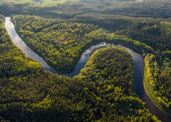 Economia Circular, com reforço de iniciativas de cogestão, pode se tornar modelo para o desenvolvimento sustentável da Amazônia
