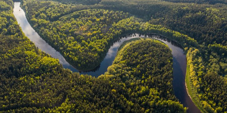 Economia Circular, com reforço de iniciativas de cogestão, pode se tornar modelo para o desenvolvimento sustentável da Amazônia