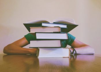 Transferência de conhecimento precisa ir além de manuais e fichas técnicas para conseguir gerar aprendizagem entre organizações