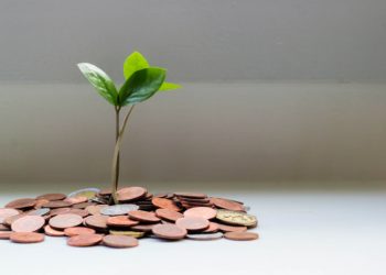 Caso de ensino mostra como plataformas baseadas em blockchain e tokens digitais podem gerar impacto social e inclusão