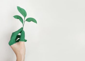 ESG como modismo do mundo dos negócios e os riscos para a sustentabilidade