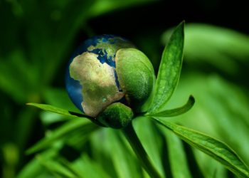 FGVces procura organizações parceiras para a realização de estudos e práticas sustentáveis