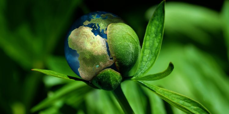 FGVces procura organizações parceiras para a realização de estudos e práticas sustentáveis