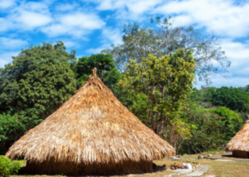 #podcast Impacto: Como as comunidades indígenas nas cidades de São Paulo e São Gabriel da Cachoeira responderam à COVID-19