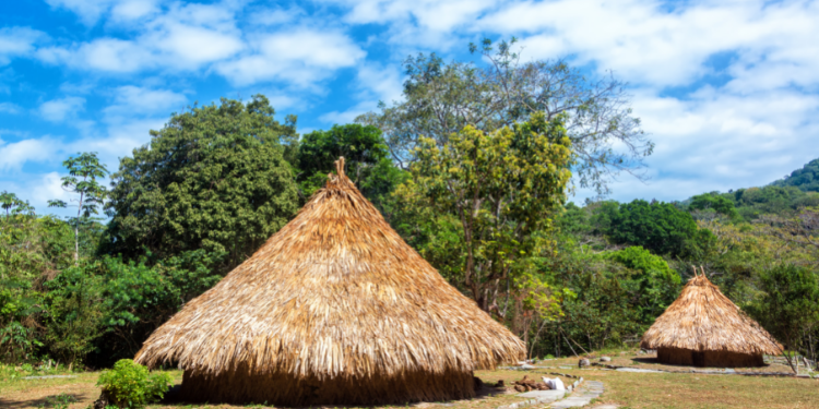 #podcast Impacto: Como as comunidades indígenas nas cidades de São Paulo e São Gabriel da Cachoeira responderam à COVID-19