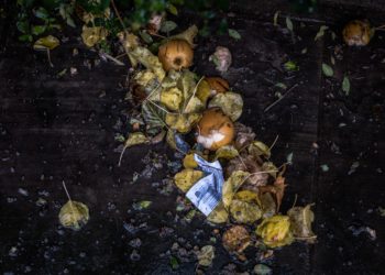 Abordagens integradas são necessárias para combater a perda e o desperdício de alimentos