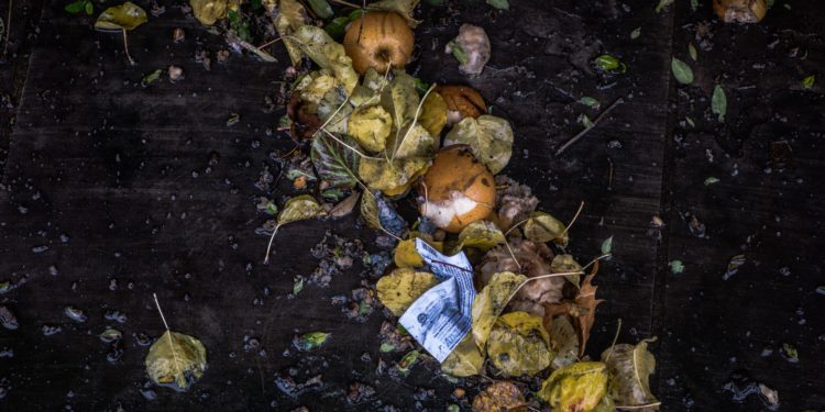 Abordagens integradas são necessárias para combater a perda e o desperdício de alimentos