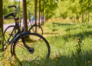 bicicleta parque grama