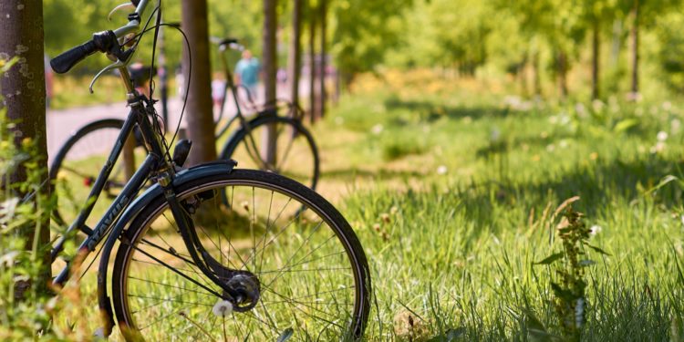 bicicleta parque grama