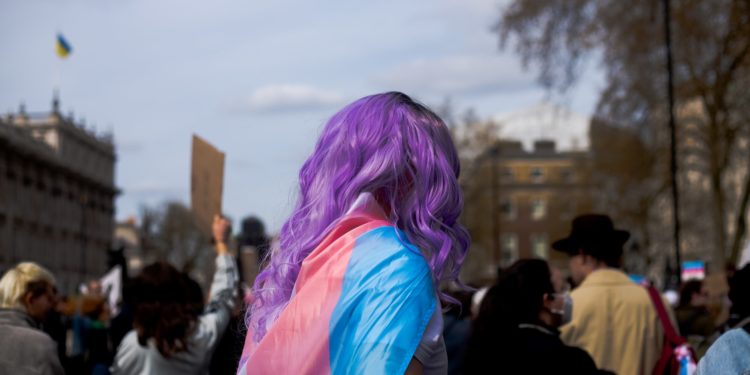 de costas, pessoa com cabexo roxo usa bandeira trans; além de desafios na inclusão de pessoas transgênero no mercado de trabalho, pode haver hostilidade contra aquelas que já estão empregadas, diz estudo da FGV