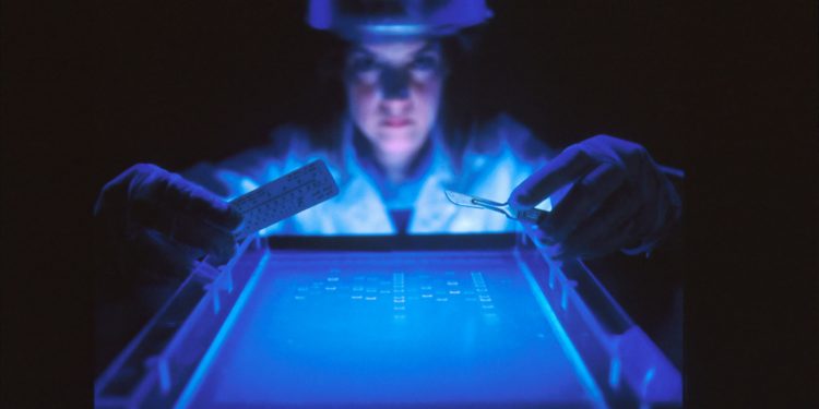 Colaboração com países de contexto socioeconômico similar ao brasileiro é oportunidade para pesquisas sobre a resiliência do SUS, diz artigo da FGV