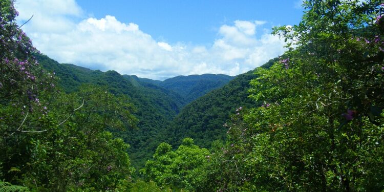 Iniciativas coletivas de atores locais são estratégia para impulsionar desenvolvimento de regiões negligenciadas