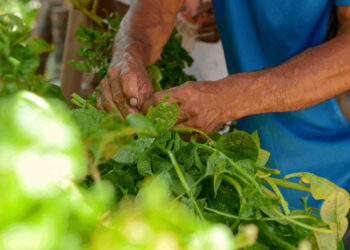 comunidades rurais