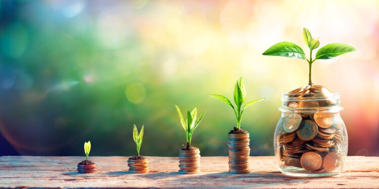 Pesquisadores investigam como moedas comunitárias podem contribuir com Objetivos de Desenvolvimento Sustentável