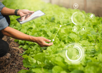O futuro sustentável da agricultura global
