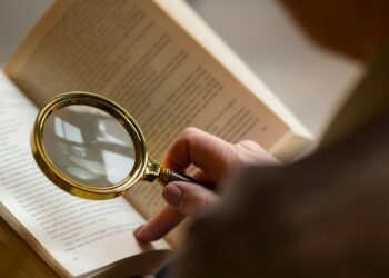 Estudo analisa perfil das pesquisas sobre burocracias subnacionais