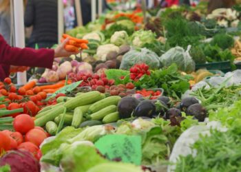 Estudo revela perfis e motivações de consumidores em mercados locais