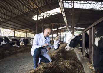 Como cooperativas moldam a circularidade na cadeia de suprimentos