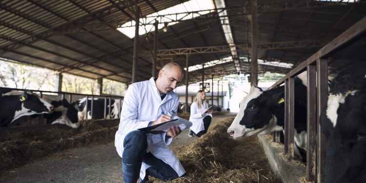 Como cooperativas moldam a circularidade na cadeia de suprimentos