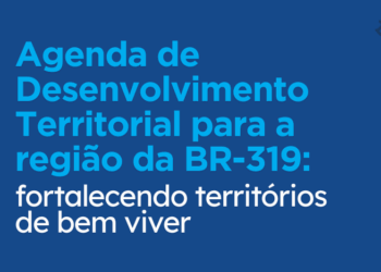 Pesquisa de impacto: Agenda de Desenvolvimento Territorial para a região da BR-319: fortalecendo territórios de bem viver