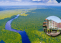Workshop Inovação para a criação de valor sustentável: compreendendo as cadeias globais de valor na Amazônia
