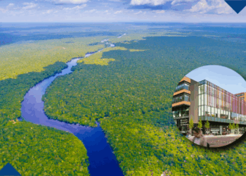 Workshop Inovação para a criação de valor sustentável: compreendendo as cadeias globais de valor na Amazônia