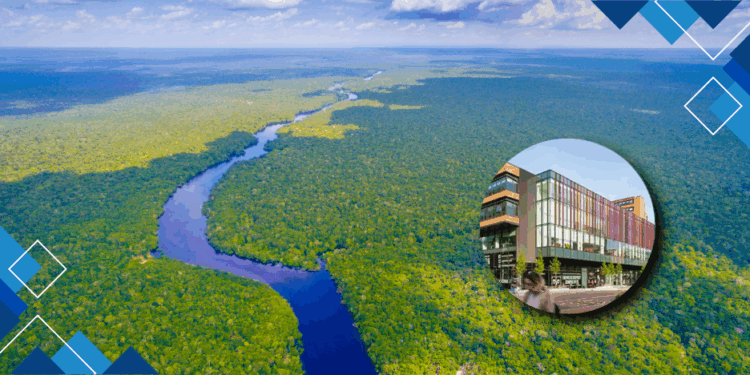 Workshop Inovação para a criação de valor sustentável: compreendendo as cadeias globais de valor na Amazônia