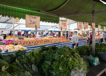 Feira de alimentos sustentáveis como prática da economia circular nas cidades